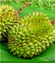 Predivno voće : Durijan