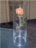 prva vaza-ruža