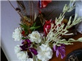 Rezano cvijeće u vazi ( cvijet sanseverije )